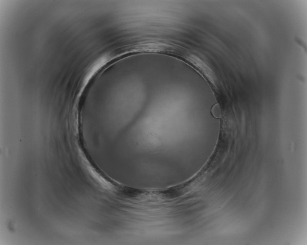 X0000097861083200803141233