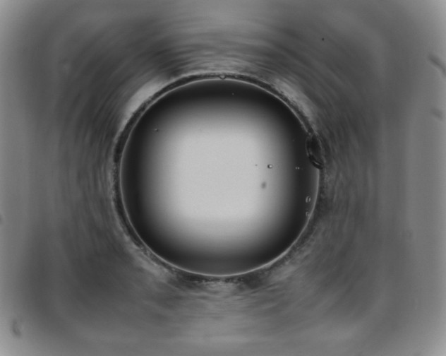 X0000097861085200803141233