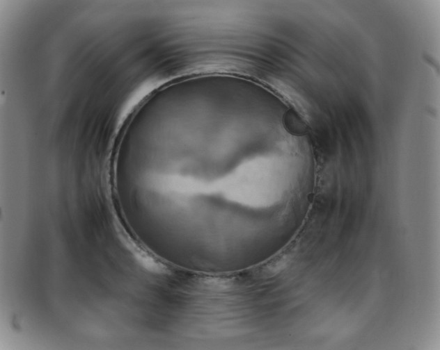 X0000097861086200803141233