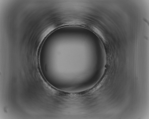 X0000097861087200803141233