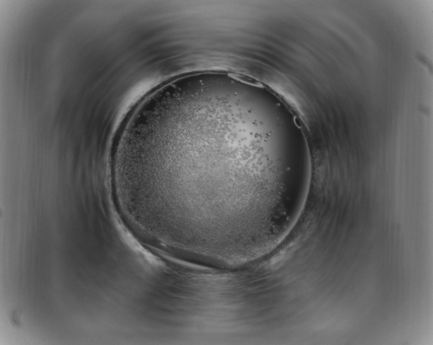 X0000097861088200803141233