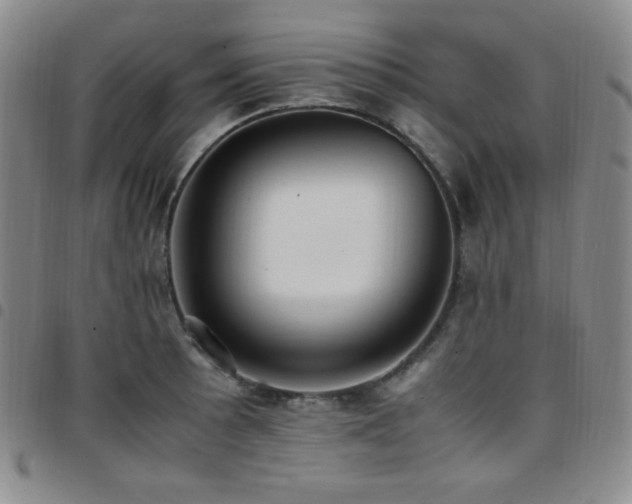 X0000097861089200803141233