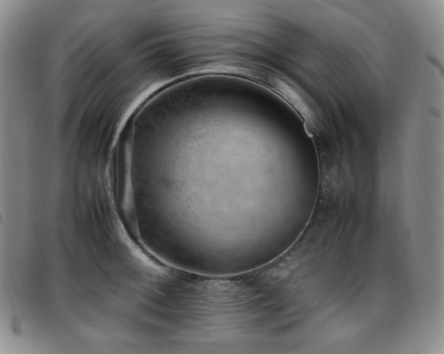 X0000097861092200803141233