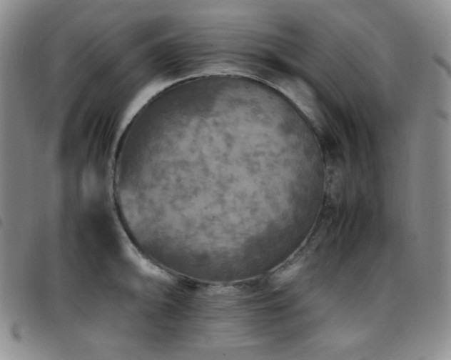 X0000097861094200803141233