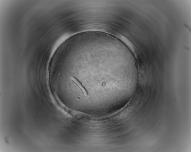 X0000097861096200803141233