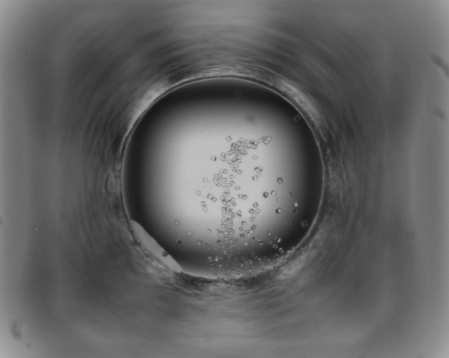 X0000097861097200803141233