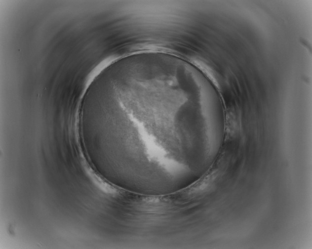 X0000097861098200803141233