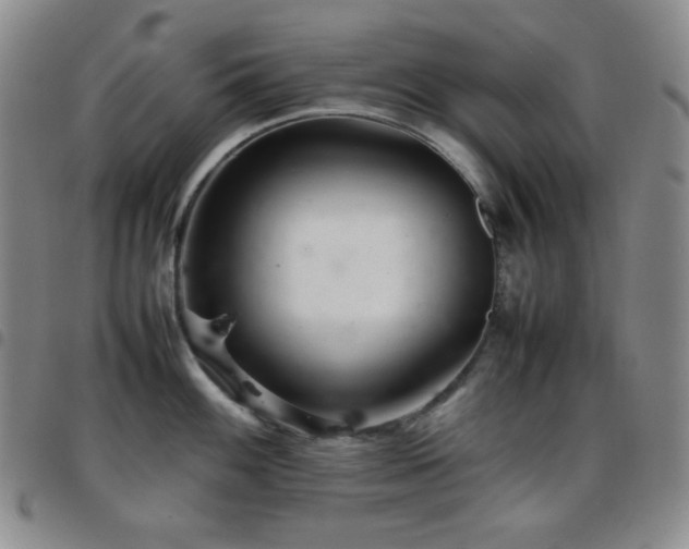 X0000097861100200803141233