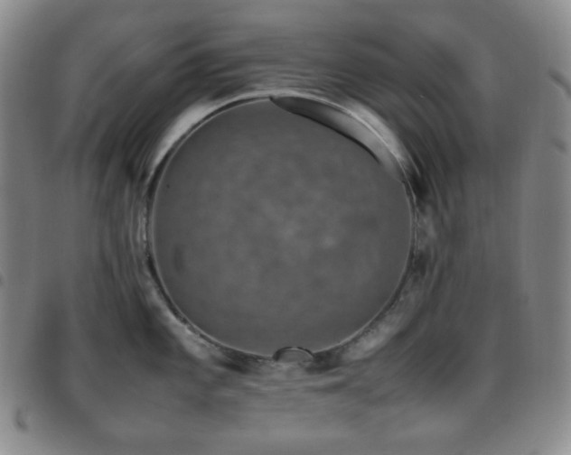 X0000097861101200803141233