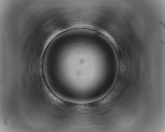 X0000097861102200803141233