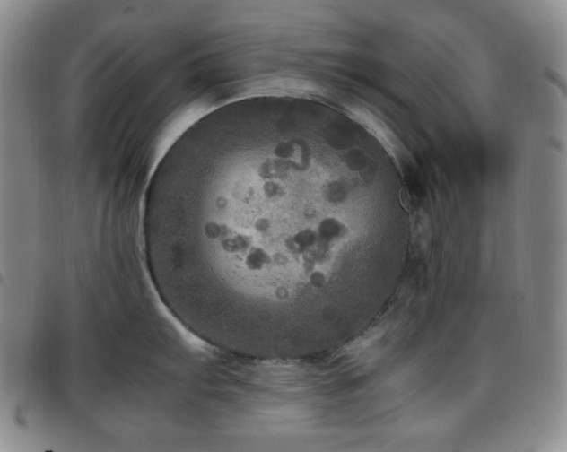 X0000097861103200803141233