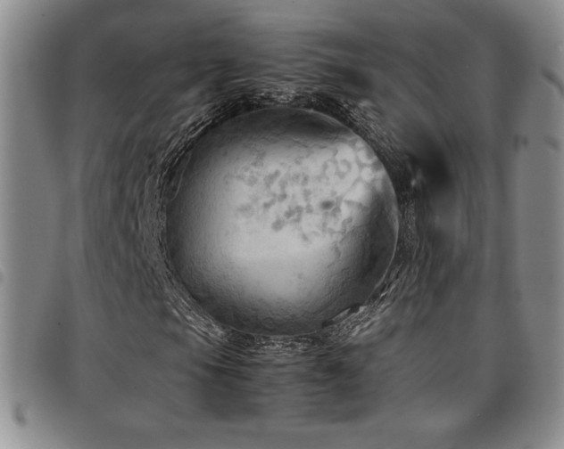 X0000097861105200803141232