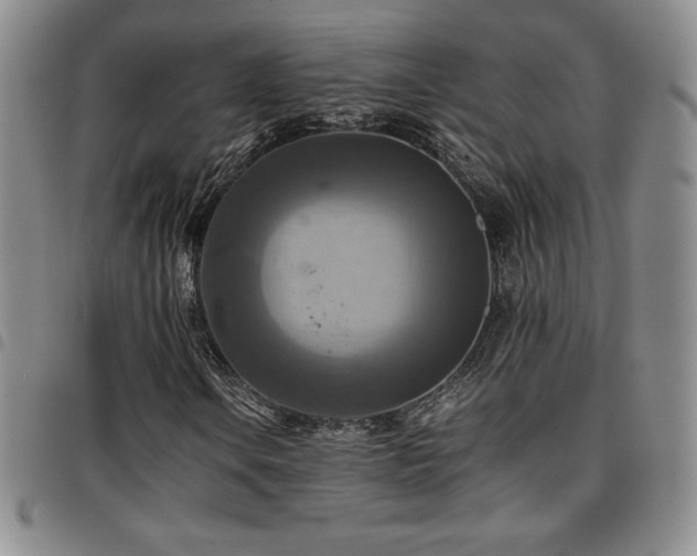 X0000097861106200803141232