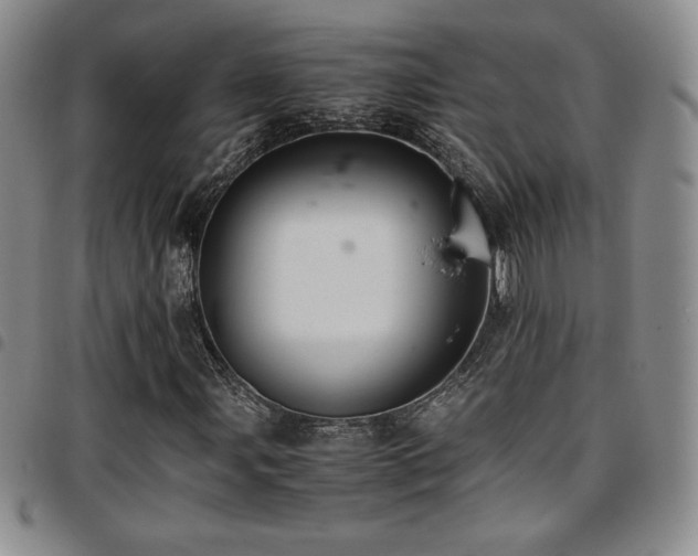 X0000097861107200803141232