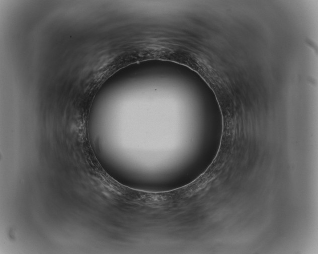 X0000097861109200803141232