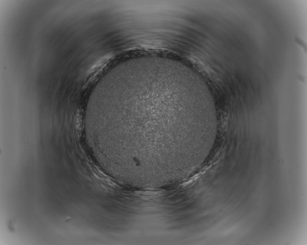 X0000097861110200803141232