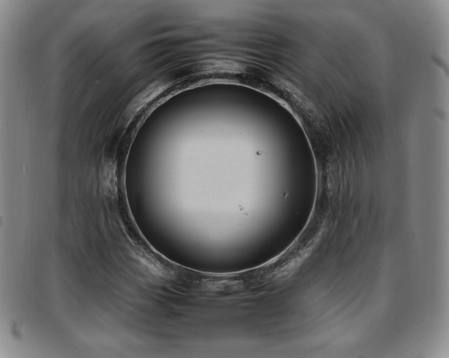 X0000097861113200803141232