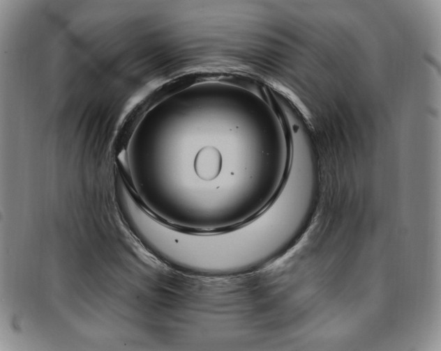 X0000097861114200803141232