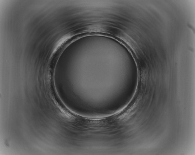 X0000097861115200803141232