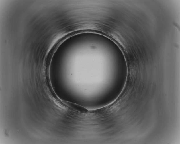 X0000097861116200803141232