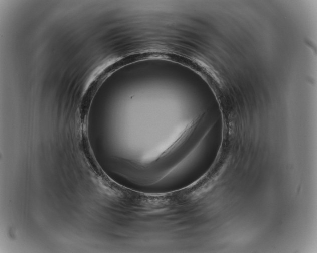 X0000097861117200803141232