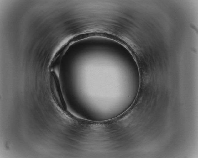 X0000097861118200803141232