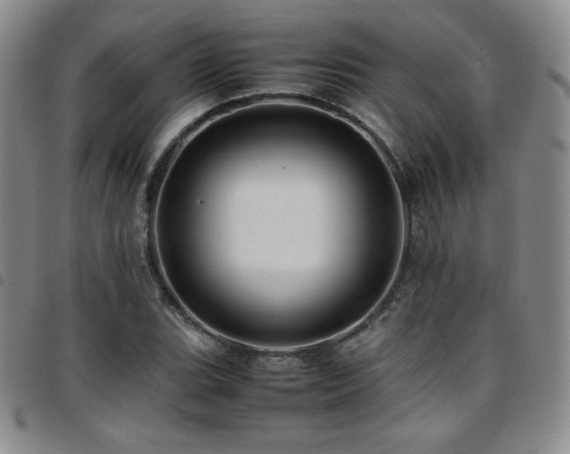 X0000097861119200803141232