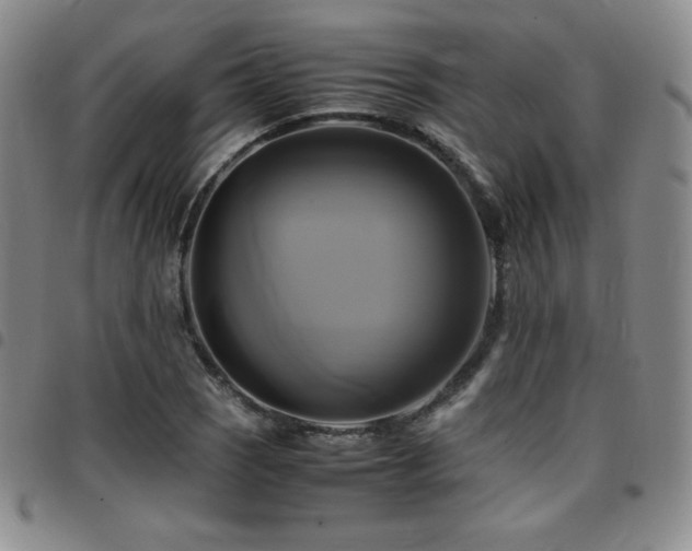 X0000097861121200803141232