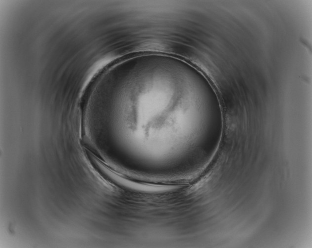 X0000097861123200803141232