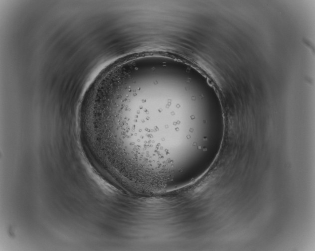 X0000097861124200803141232