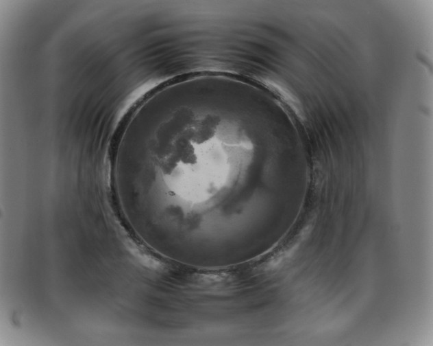 X0000097861125200803141232