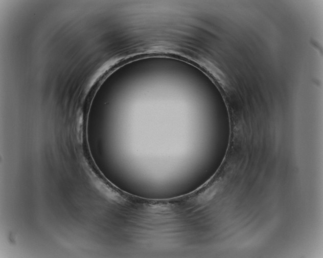 X0000097861126200803141232