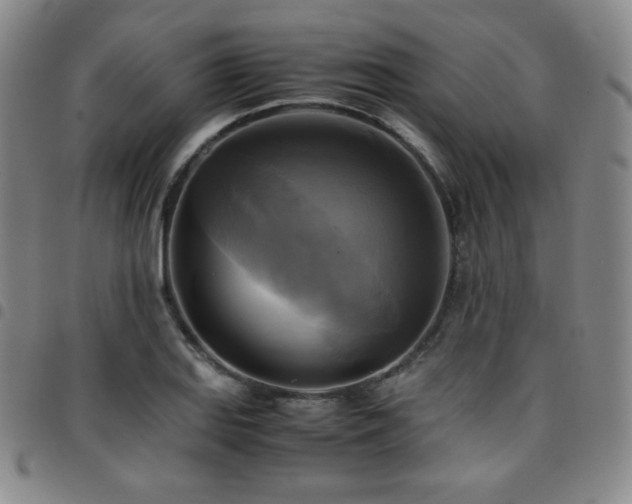 X0000097861127200803141232