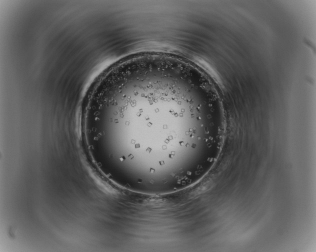 X0000097861128200803141232