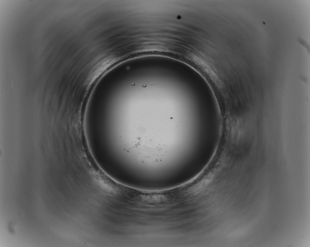 X0000097861129200803141232