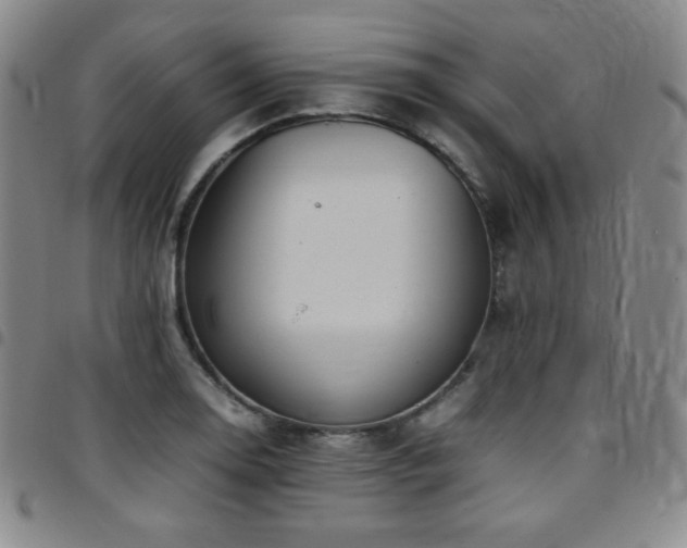 X0000097861130200803141232