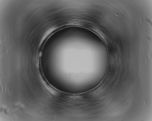 X0000097861131200803141232