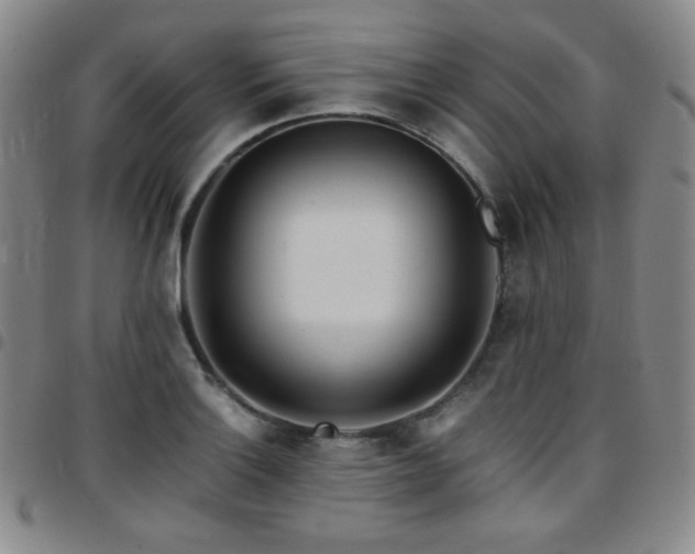 X0000097861132200803141232