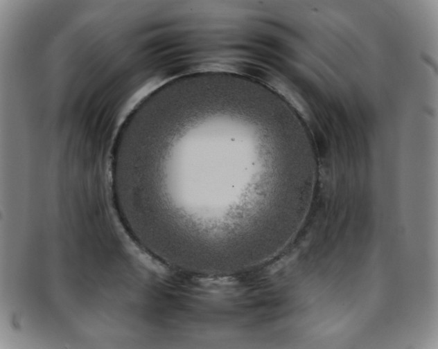 X0000097861133200803141233