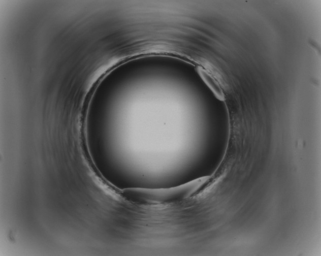 X0000097861134200803141233