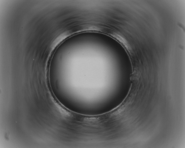 X0000097861135200803141233