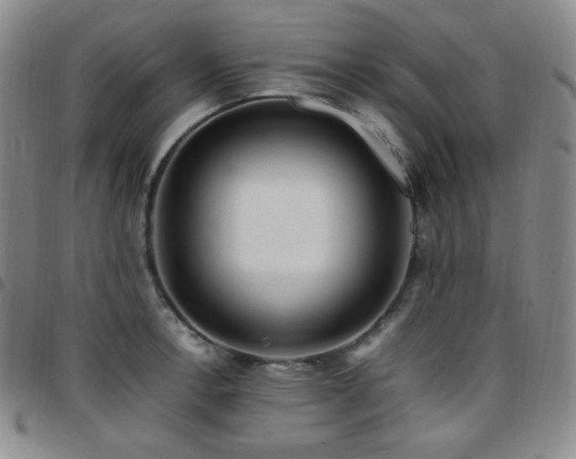 X0000097861138200803141233