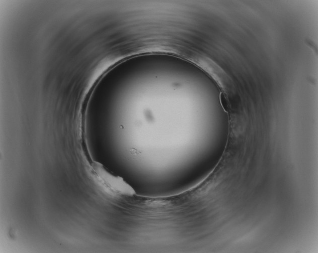 X0000097861140200803141233