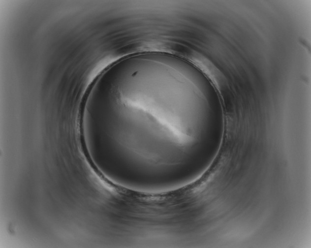 X0000097861141200803141233