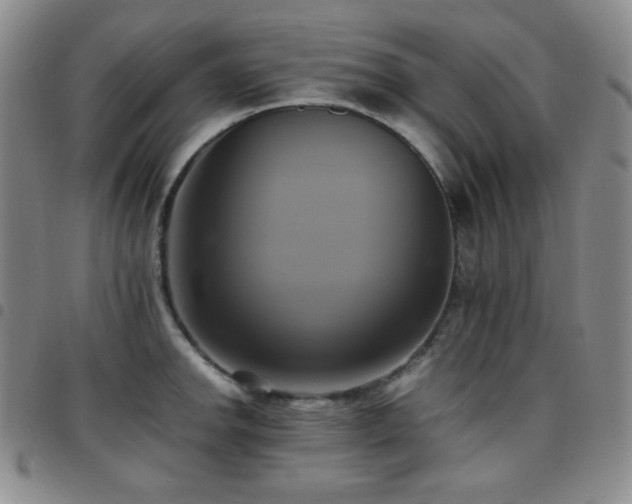 X0000097861142200803141233