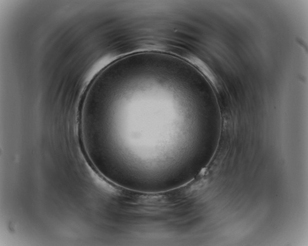 X0000097861143200803141233