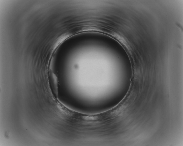 X0000097861145200803141233