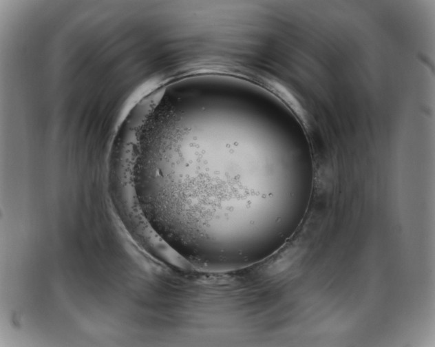 X0000097861146200803141233