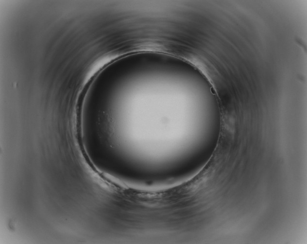 X0000097861147200803141233