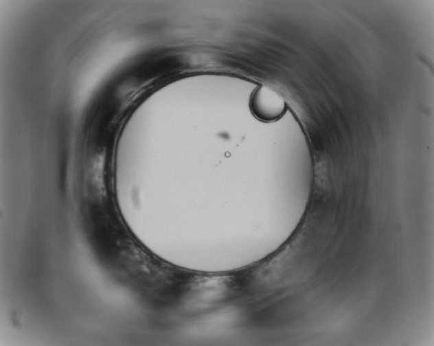 X0000097861150200803141233